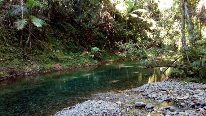 swimming hole