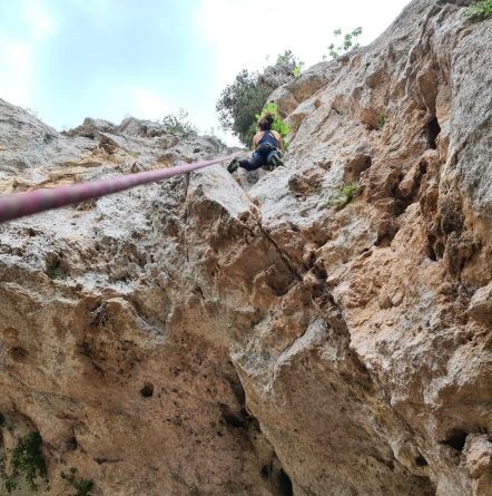 rock climbing wall