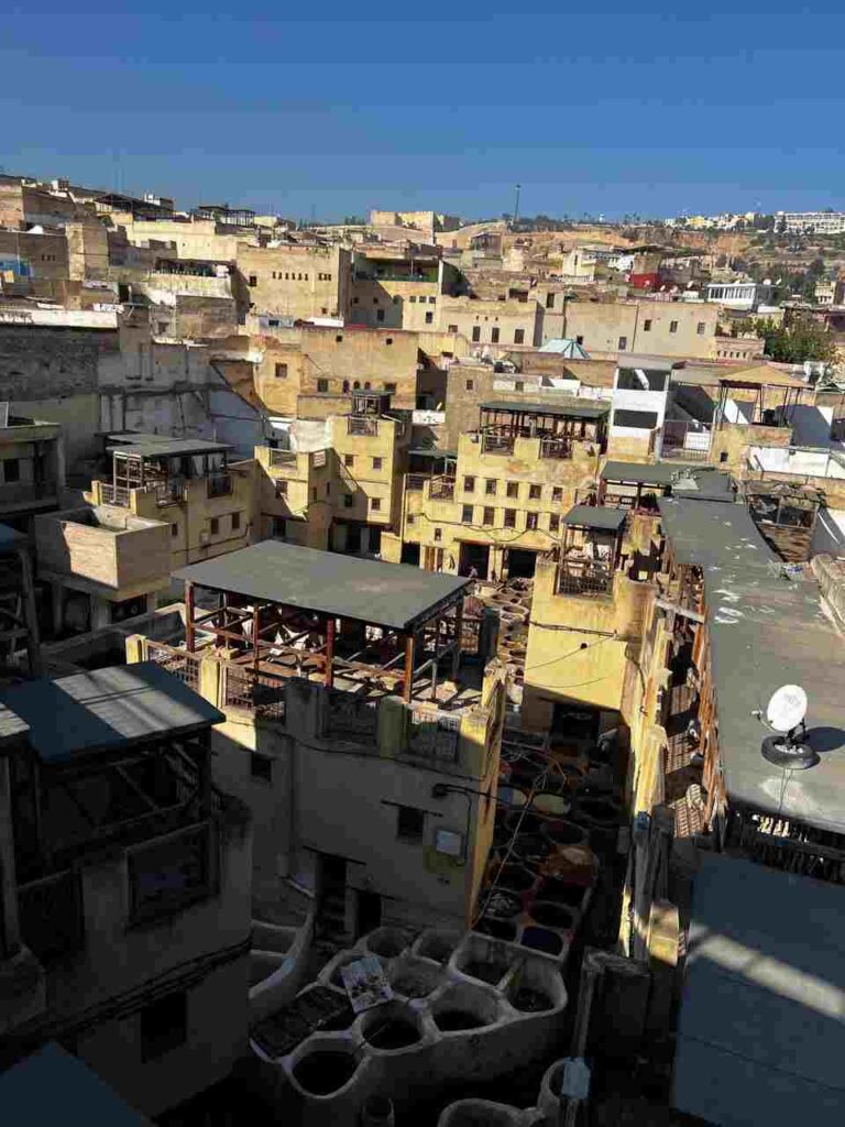 fes medina roof